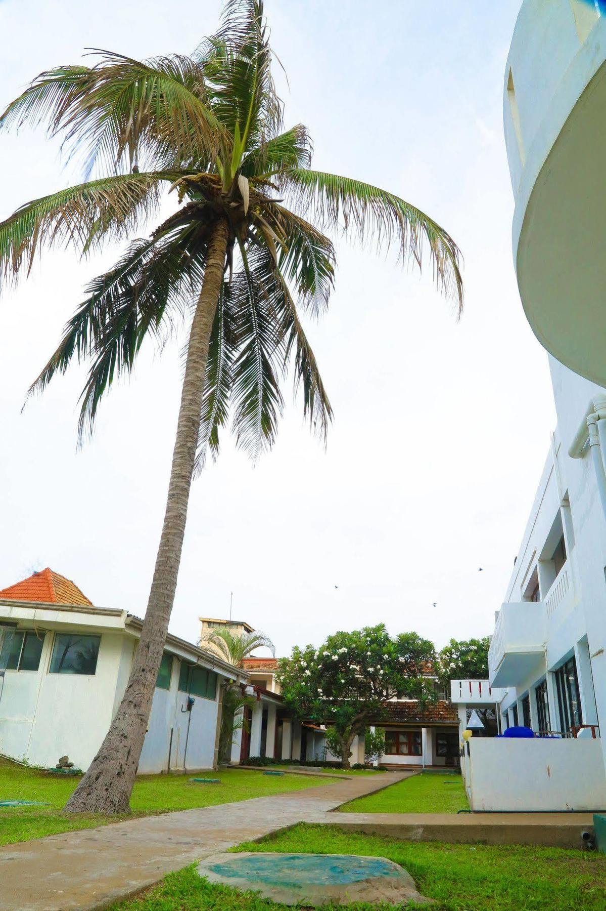 Golden Star Hotel